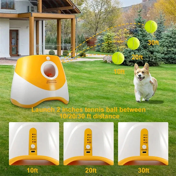 Automatic Ball Launcher for Dogs