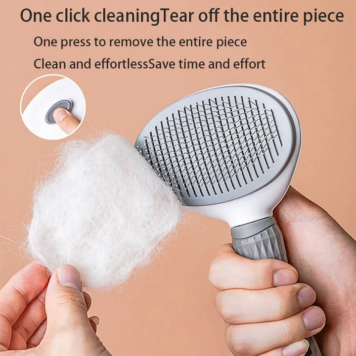 Pet Hair Removal Brush