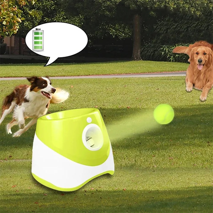 Automatic Ball Launcher for Dogs