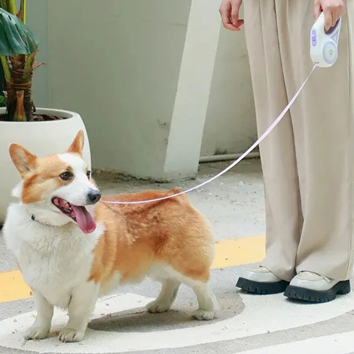 Retractable LED Dog Leash - Safety and Convenience for Night Walks